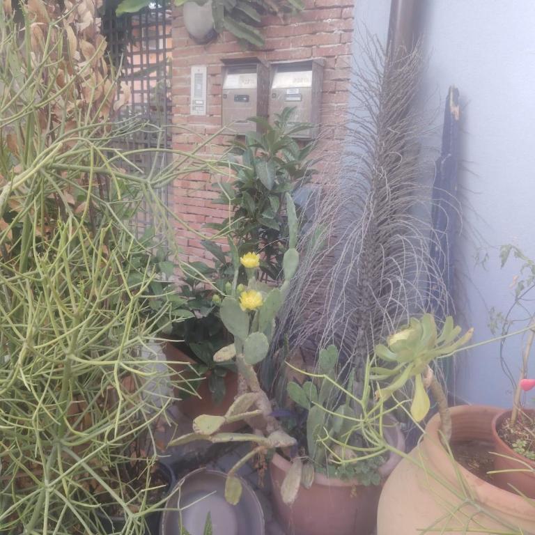 Oasi di pace - Two-Bedroom House - 11
