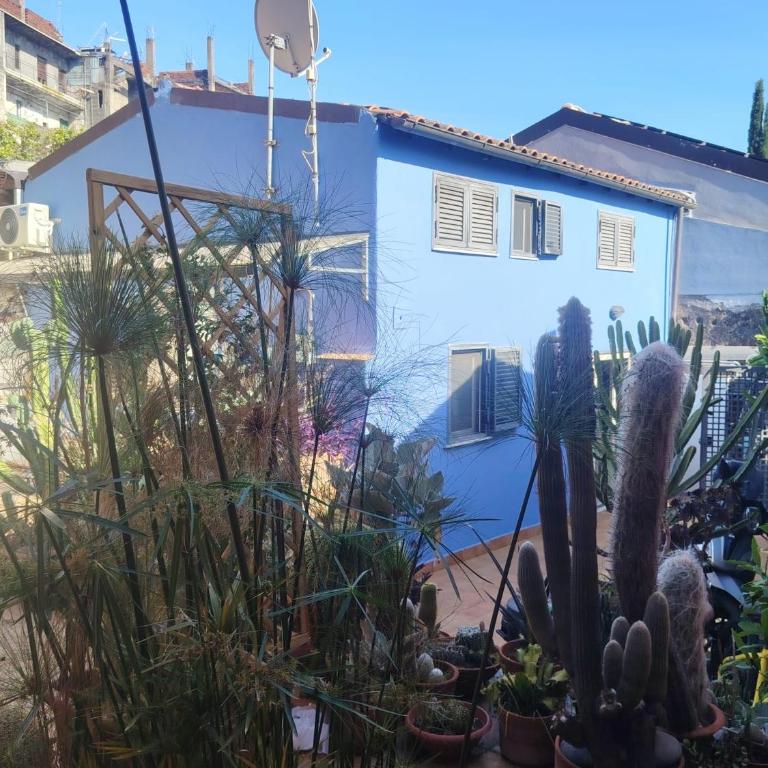 Oasi di pace - Two-Bedroom House - 8