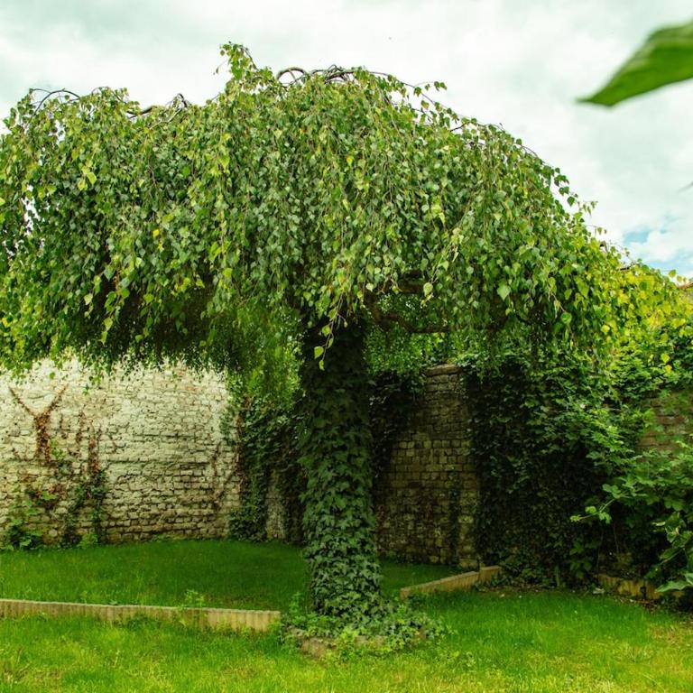 Cozy House between City and Beach Private Garden - Maison 2 Chambres - 29