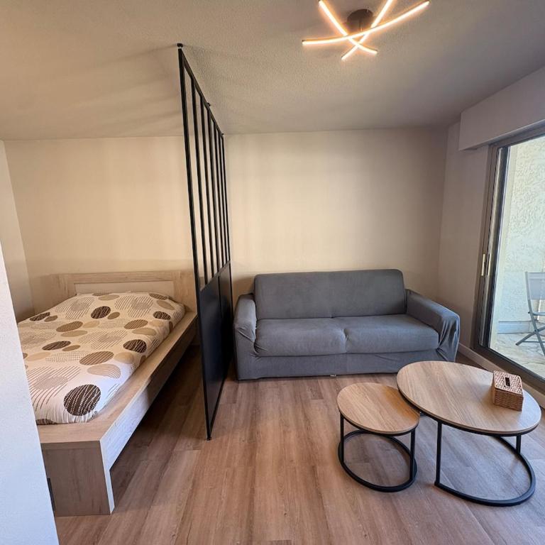 Studio moderne piscine terrasse parking 4pers - Appartamento con 1 Camera da Letto - 3