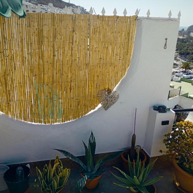 Most sunny days on Gran Canaria - Appartement 1 Chambre - 3