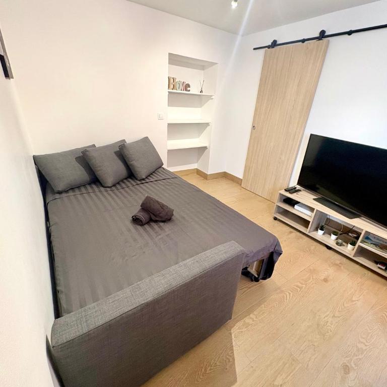Studio avec Wi-Fi, à 5mn de la Centrale du Bugey - Monolocale con Divano-Letto - 7