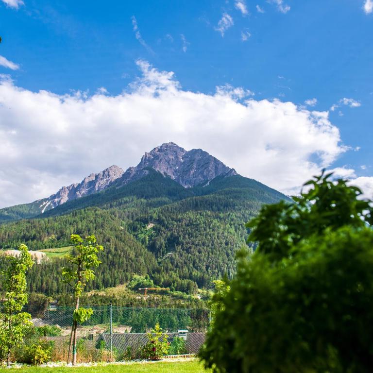 Apartment Alpenweiss - Apartment mit 1 Schlafzimmer und Garten - 18