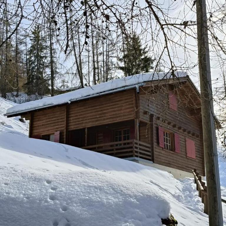 Chalet sur Le Bisse de Vex, à côté des remontées - Chalet - 4
