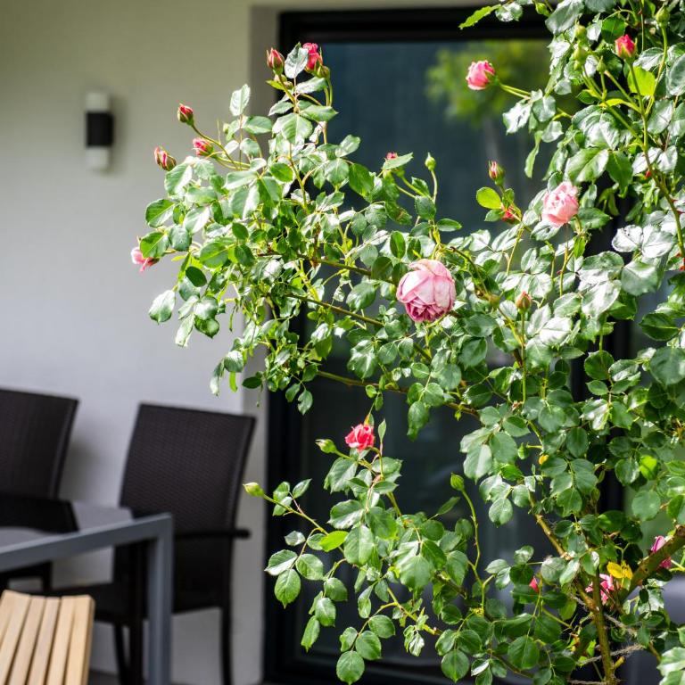 Apartment Alpenweiss - Apartment mit 1 Schlafzimmer und Garten - 20