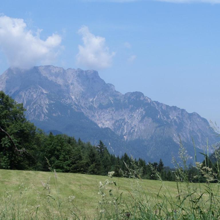 FeWo Untersberg 38m im Lehnhäusl - Apartment - 5