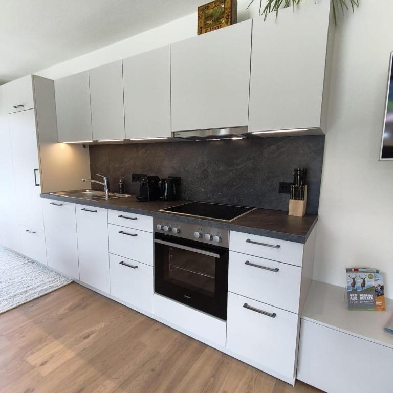 THE ONE - Apartment mit 1 Schlafzimmer und Dusche - 60