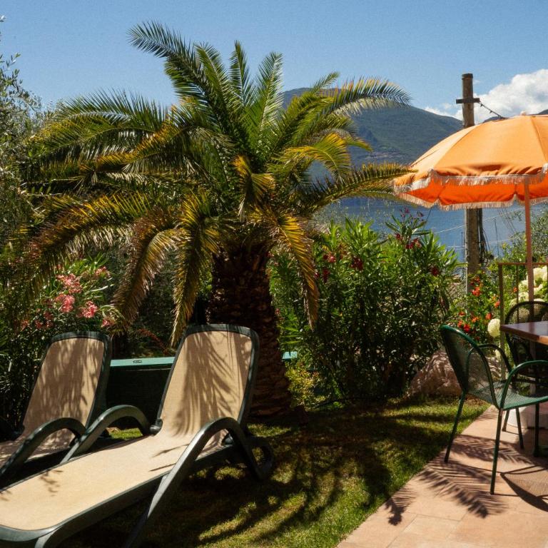 MaisonTerra - Appartamento con 1 Camera da Letto - 24