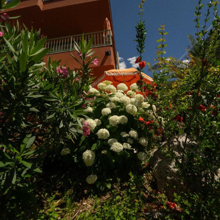 MaisonTerra - Appartamento con 1 Camera da Letto - 5