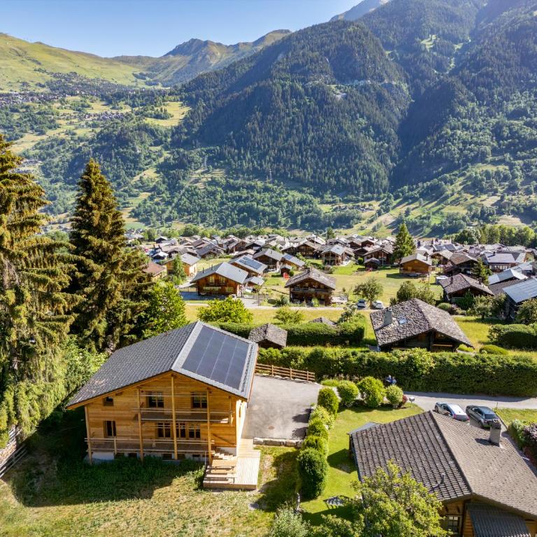Chalet des Cheneaux - Chalet - 2