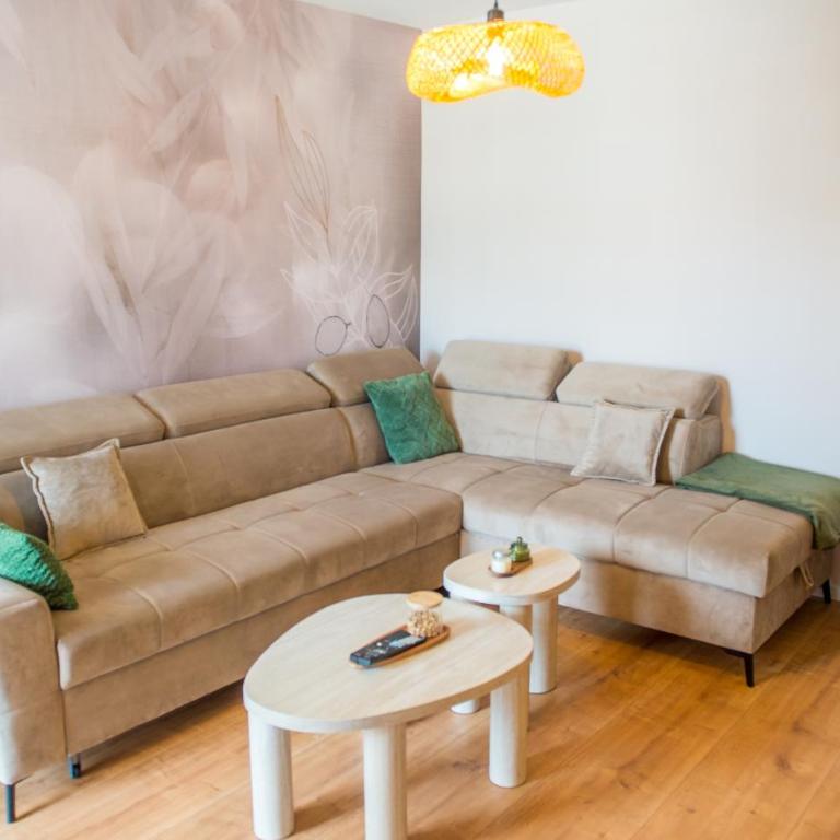 Olive Apartment - Appartement 1 Chambre - 18