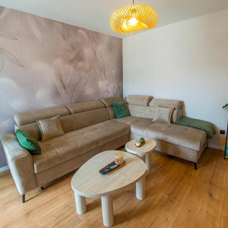 Olive Apartment - Appartement 1 Chambre - 33