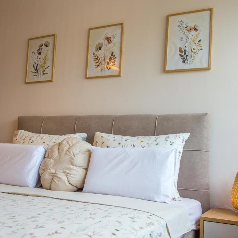 Olive Apartment - Appartement 1 Chambre - 34