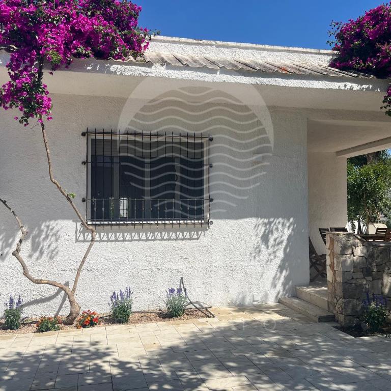 Villa Bali con piscina e giardino privato By Cala Salento - Villa con vistas al jardín - 52