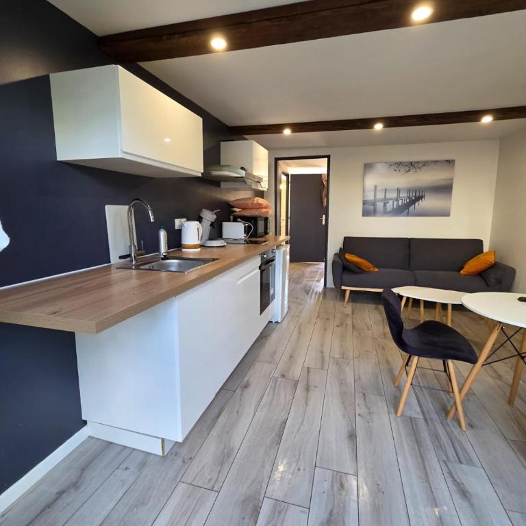 Confortable appartement centre de Vichy - Appartamento con 1 Camera da Letto - 2