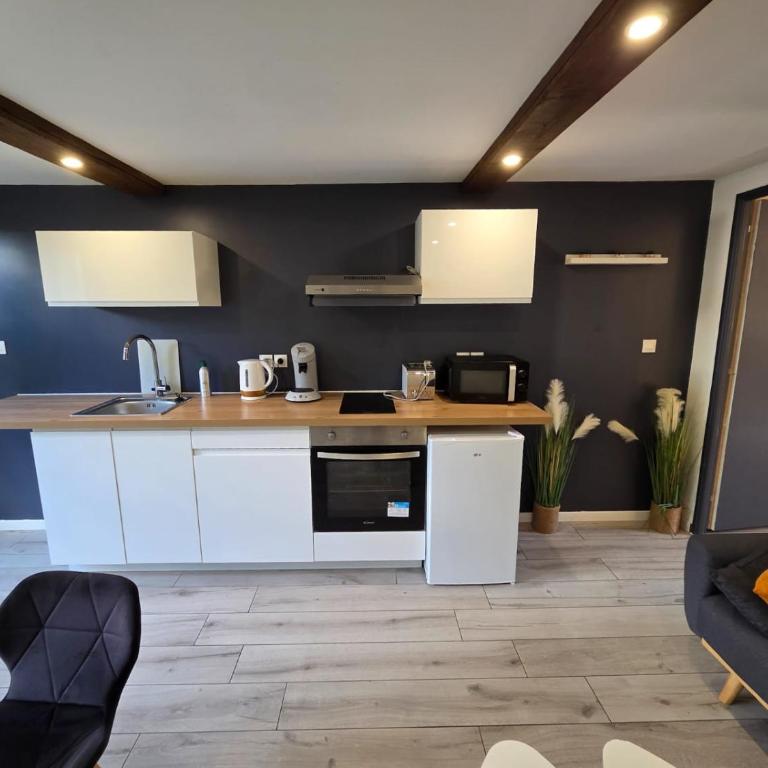 Confortable appartement centre de Vichy - Appartamento con 1 Camera da Letto - 6