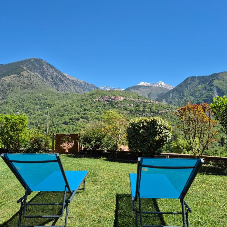 Villa les oliviers, vue montagnes avec jardin - Mercantour - Villa de 3 dormitorios - 10