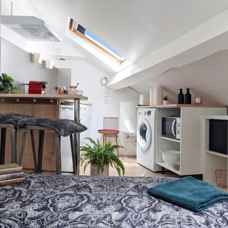 Cosy Hortensia et Lys -Clémenceau Hypercentre - 3 parkings - Appartement 5 Chambres - 21