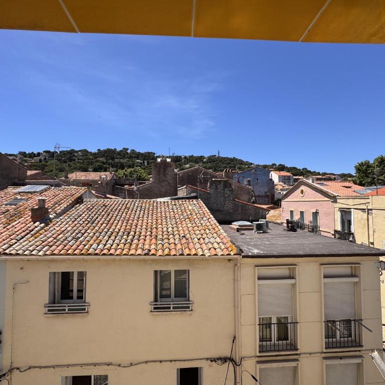 Sete sous les toits du centre ville - Standard Apartment - 2
