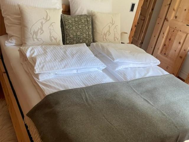 2,5 Zimmer Wohnung mit Bergblick in Engadin - Apartment mit 1 Schlafzimmer - 32