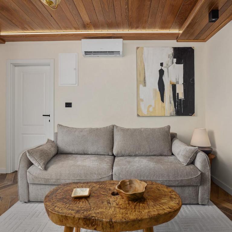 Lina Old Town Apartments - Appartement 1 Chambre avec Jardin - 4