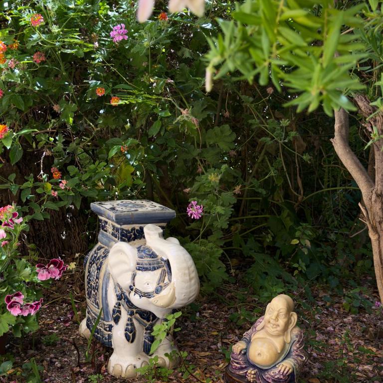 Charming studio, balcony with garden view, Nice Libération - Appartement 1 Chambre - 7