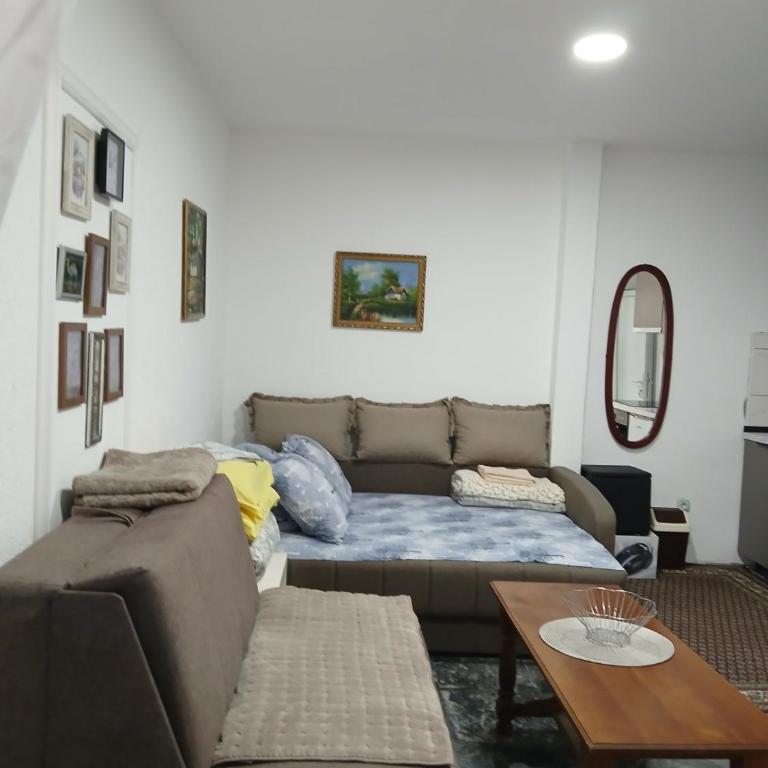 Vrnjačka Bella Vista - Appartement 1 Chambre - 10