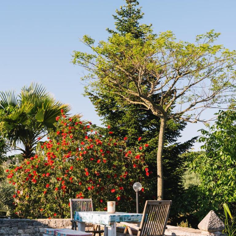 Trulli Macchia D'Itria - Appartamento con 2 Camere da Letto - 15