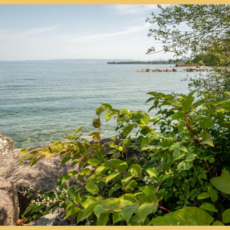 Le Corzent I T4 I Thonon-les-Bains - Maison 3 Chambres - 28