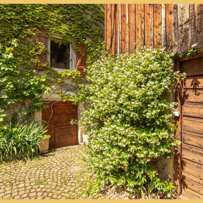 Le Corzent I T4 I Thonon-les-Bains - Maison 3 Chambres - 23
