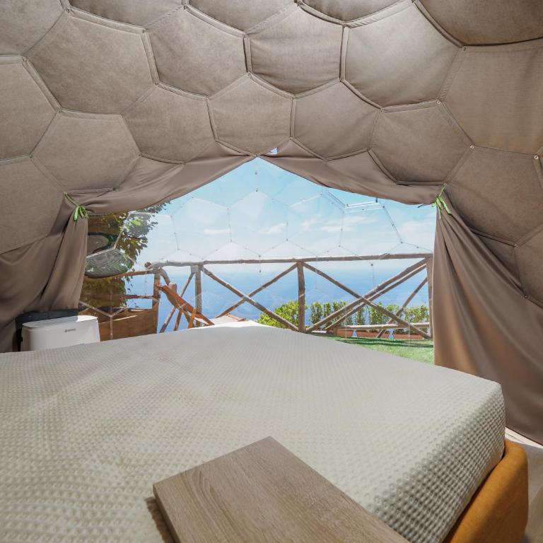 De Vivo Realty - Boscosfera Amalfi - Tienda - 19