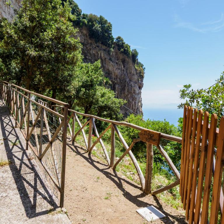 De Vivo Realty - Boscosfera Amalfi - Tienda - 35