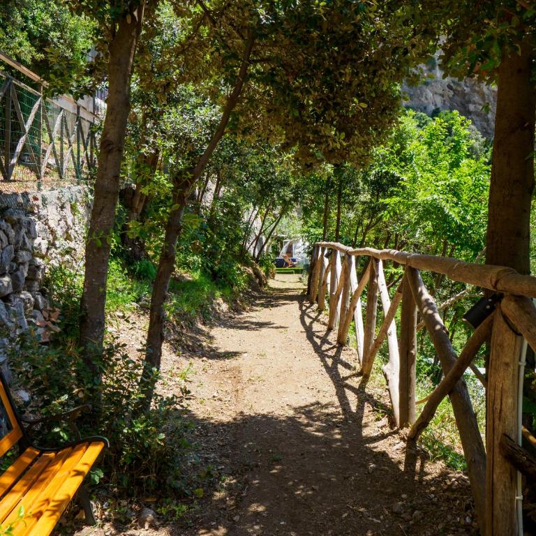 De Vivo Realty - Boscosfera Amalfi - Tienda - 38