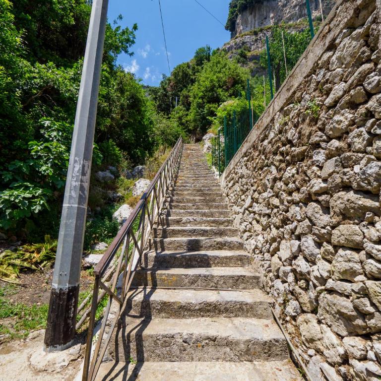 De Vivo Realty - Boscosfera Amalfi - Tienda - 39