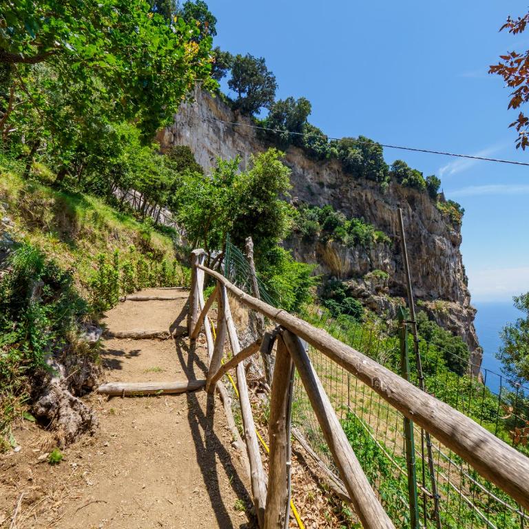 De Vivo Realty - Boscosfera Amalfi - Tienda - 41
