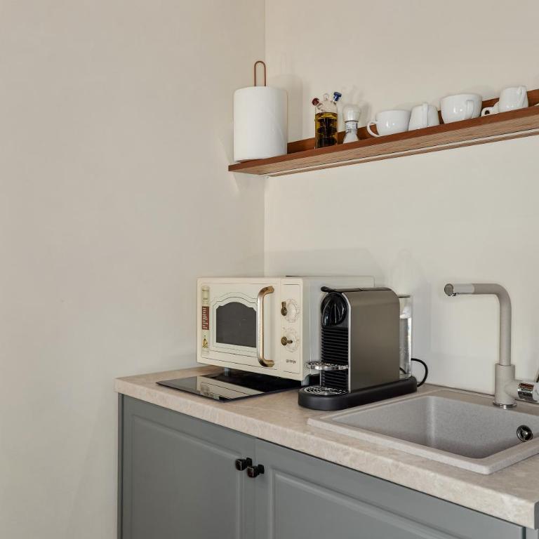 Lina Old Town Apartments - Appartement 1 Chambre avec Jardin - 7