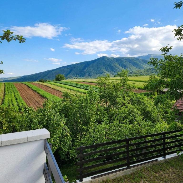 Studio Apartment Smokvica - Kuća sa 1 Spavaćom Sobom - 7