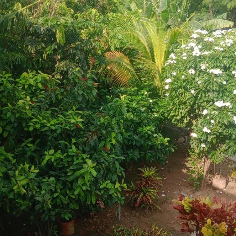 Casa vacacional en Girardot - Casa de 5 dormitorios - 19