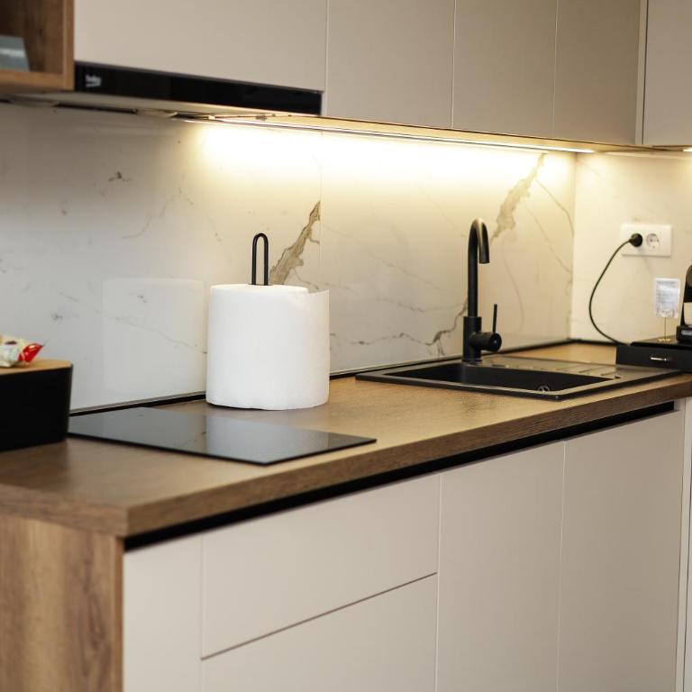Stan na dan - Nika StudioApp Istocno Sarajevo sa Garazom - One-Bedroom Apartment - 4