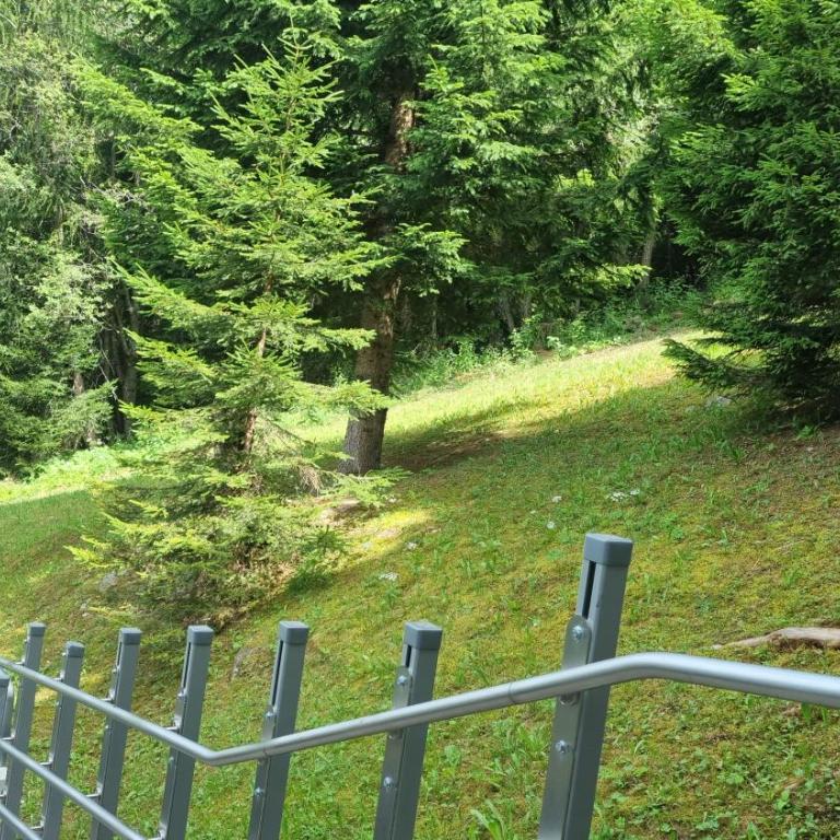 Appartamento Lisa Residence Solaria Marilleva 1400 - Apartamento de 1 dormitorio - 47