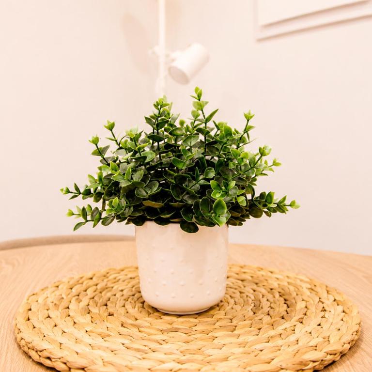 RentalSevilla Alfarería I - Apartment - 14