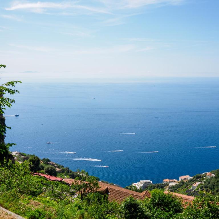 De Vivo Realty - Boscosfera Amalfi - Tienda - 19