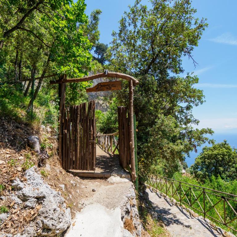 De Vivo Realty - Boscosfera Amalfi - Tienda - 39
