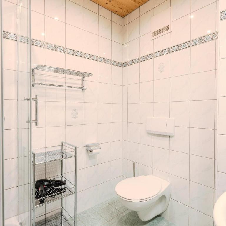 Appartements Kaltenbach - Apartamento de 1 dormitorio - 5