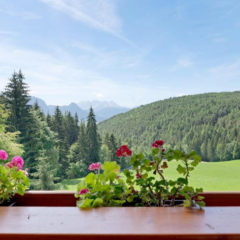 Feichtnerhof - Apartamento Deluxe de 2 dormitorios con vistas al jardín - 3