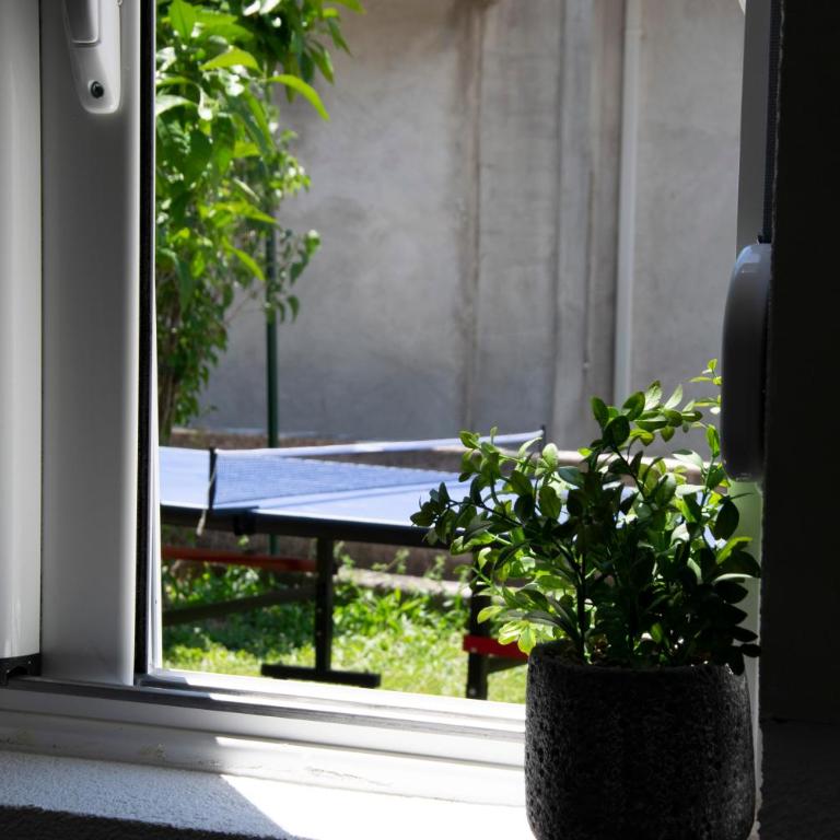 Private Sunny Hills Apartment - One-Bedroom Apartment - 19