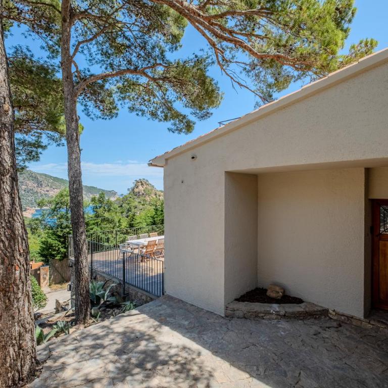 A-22 - Apartamento con 4 dormitorios - 30