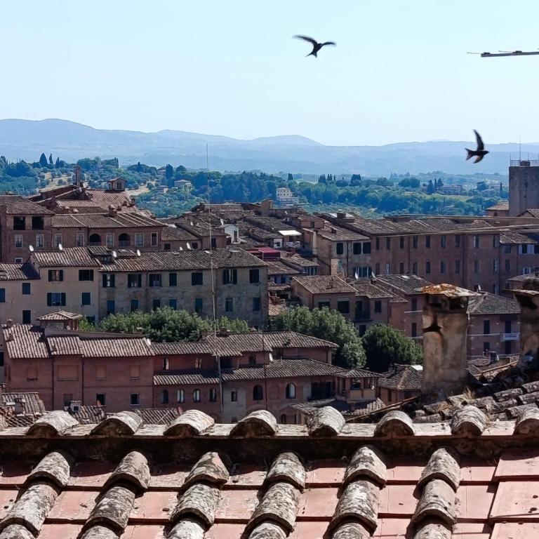 Duomo & Pinacoteca Suite - Appartamento con 1 Camera da Letto - 2