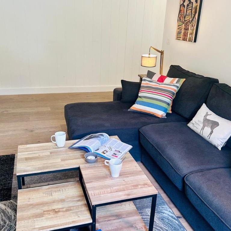 Joli appartement parking au cœur de Chamonix - Appartement - 5