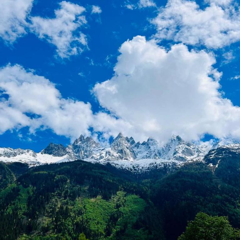 Joli appartement parking au cœur de Chamonix - Appartement - 22